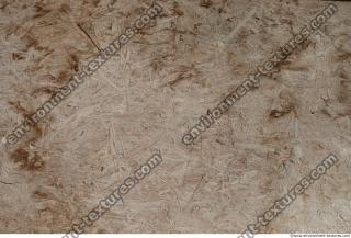 Photo Textures of Wood